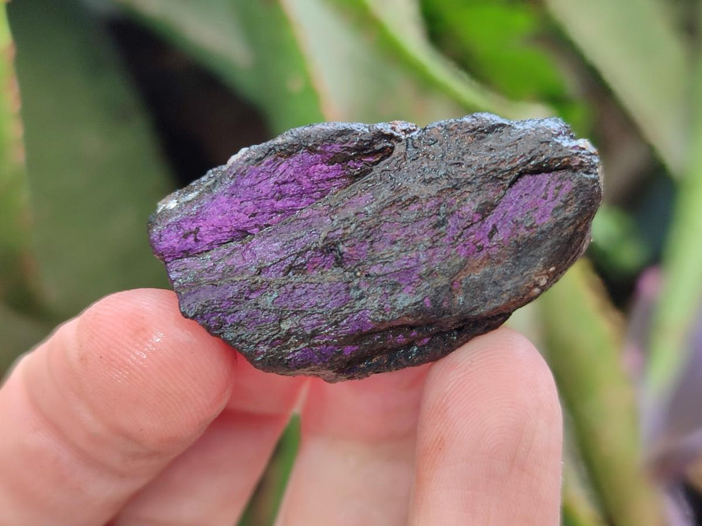Natural Metallic Cobbed Purpurite Specimens x 70 From Erongo, Namibia - Toprock Gemstones and Minerals 