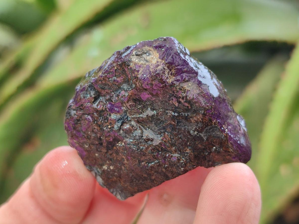 Natural Metallic Cobbed Purpurite Specimens x 70 From Erongo, Namibia - Toprock Gemstones and Minerals 