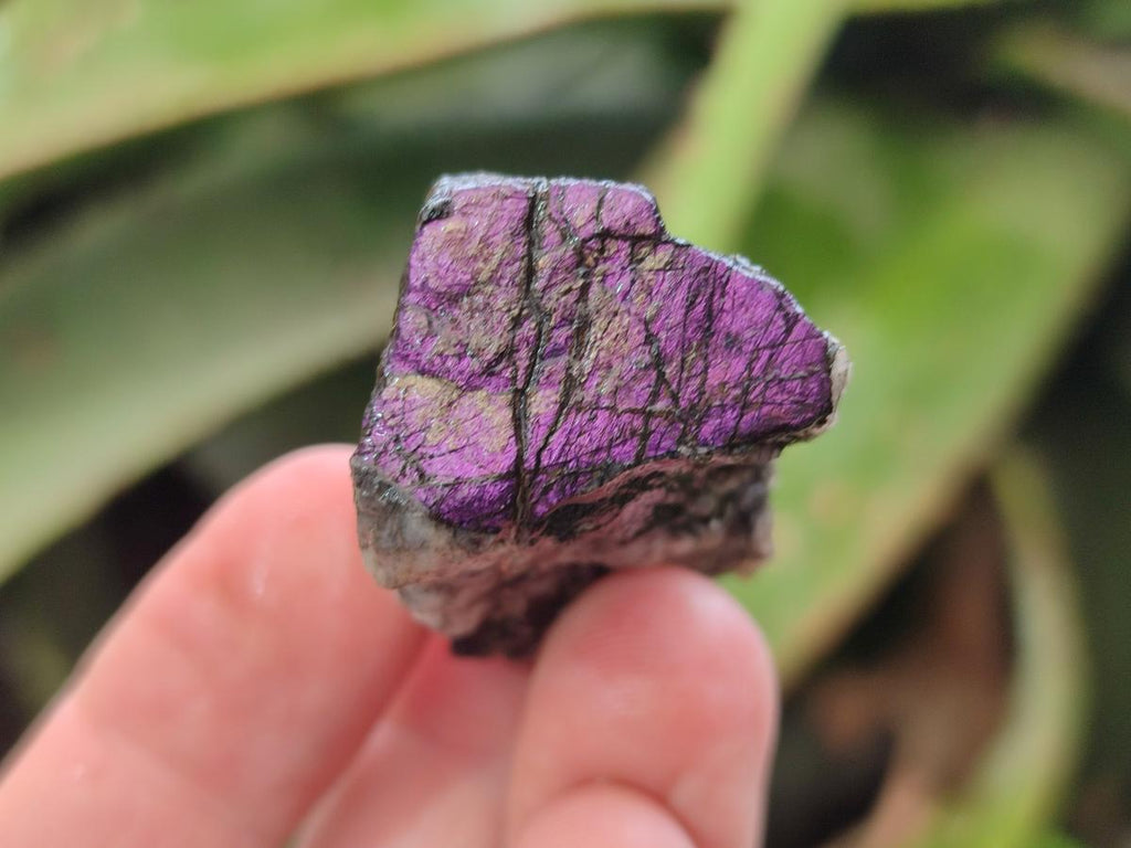Natural Metallic Cobbed Purpurite Specimens x 70 From Erongo, Namibia - Toprock Gemstones and Minerals 