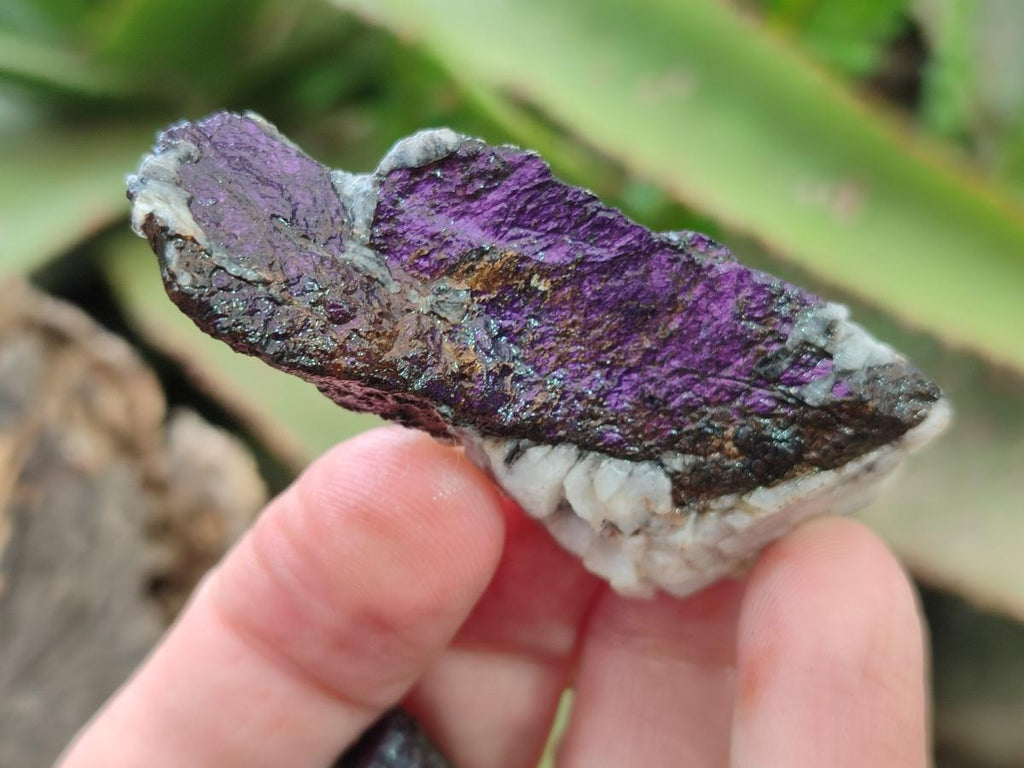 Natural Metallic Cobbed Purpurite Specimens x 70 From Erongo, Namibia - Toprock Gemstones and Minerals 