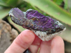 Natural Metallic Cobbed Purpurite Specimens x 70 From Erongo, Namibia - Toprock Gemstones and Minerals 