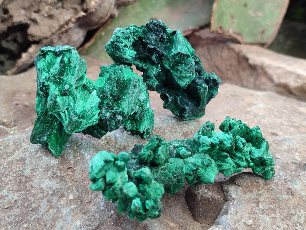 Natural Silky Malachite Specimens x 24 From Kasompe, Congo - Toprock Gemstones and Minerals 