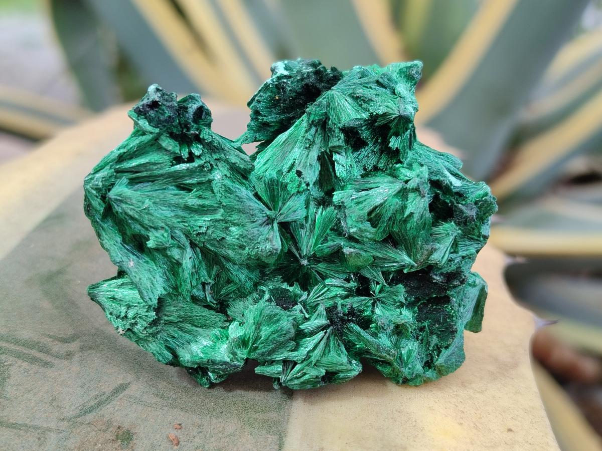 Natural Silky Malachite Specimens x 24 From Kasompe, Congo - Toprock Gemstones and Minerals 