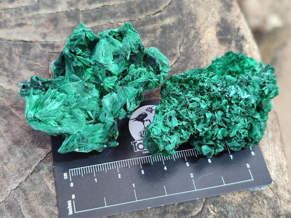 Natural Silky Malachite Specimens x 24 From Kasompe, Congo - Toprock Gemstones and Minerals 