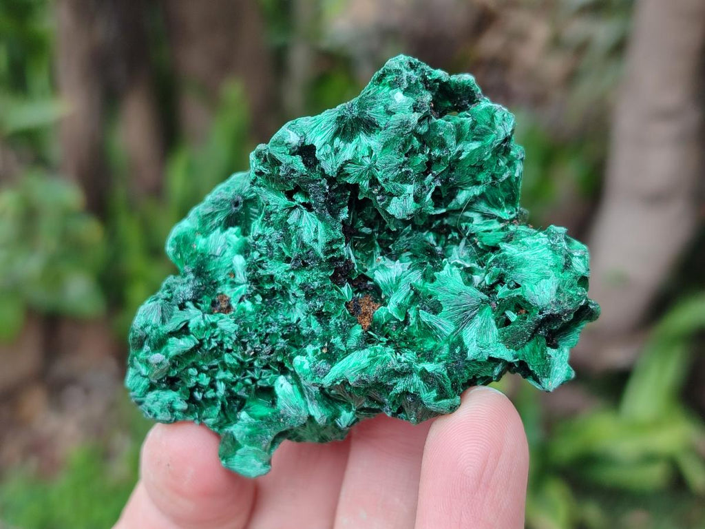 Natural Silky Malachite Specimens x 24 From Kasompe, Congo - Toprock Gemstones and Minerals 