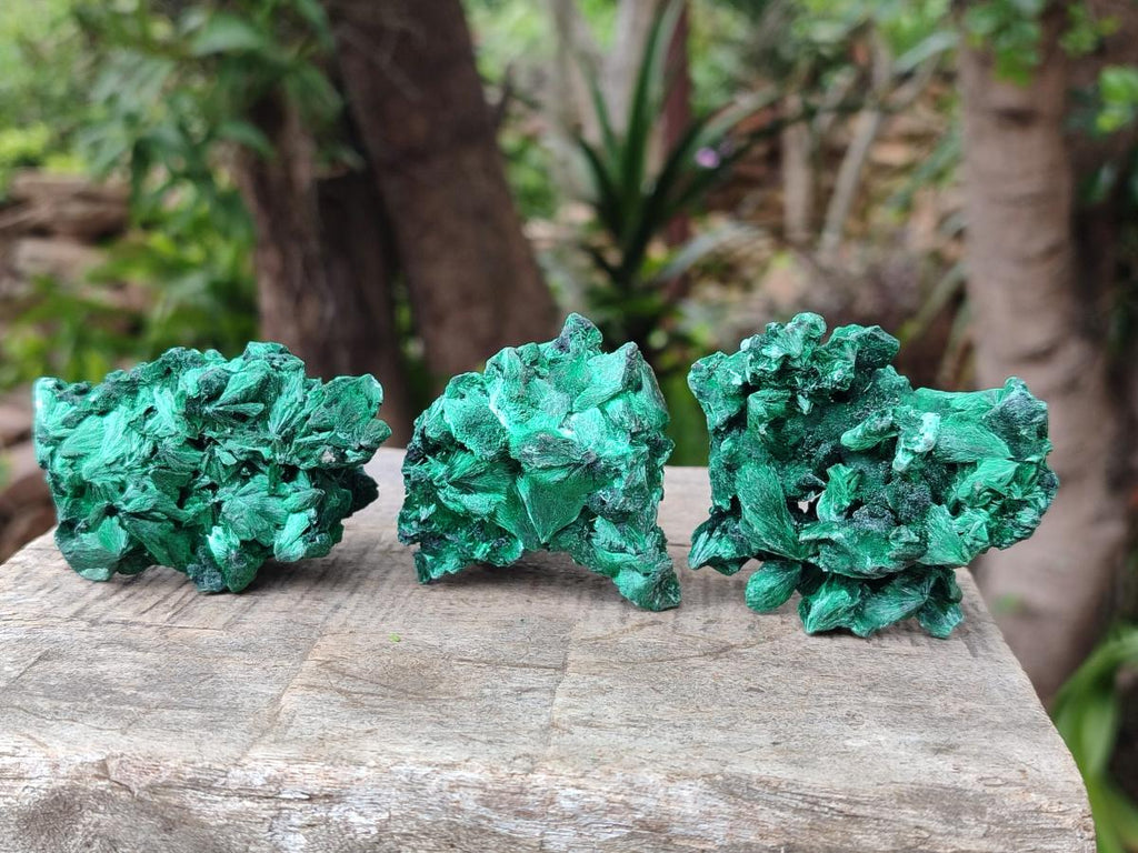 Natural Silky Malachite Specimens x 24 From Kasompe, Congo - Toprock Gemstones and Minerals 