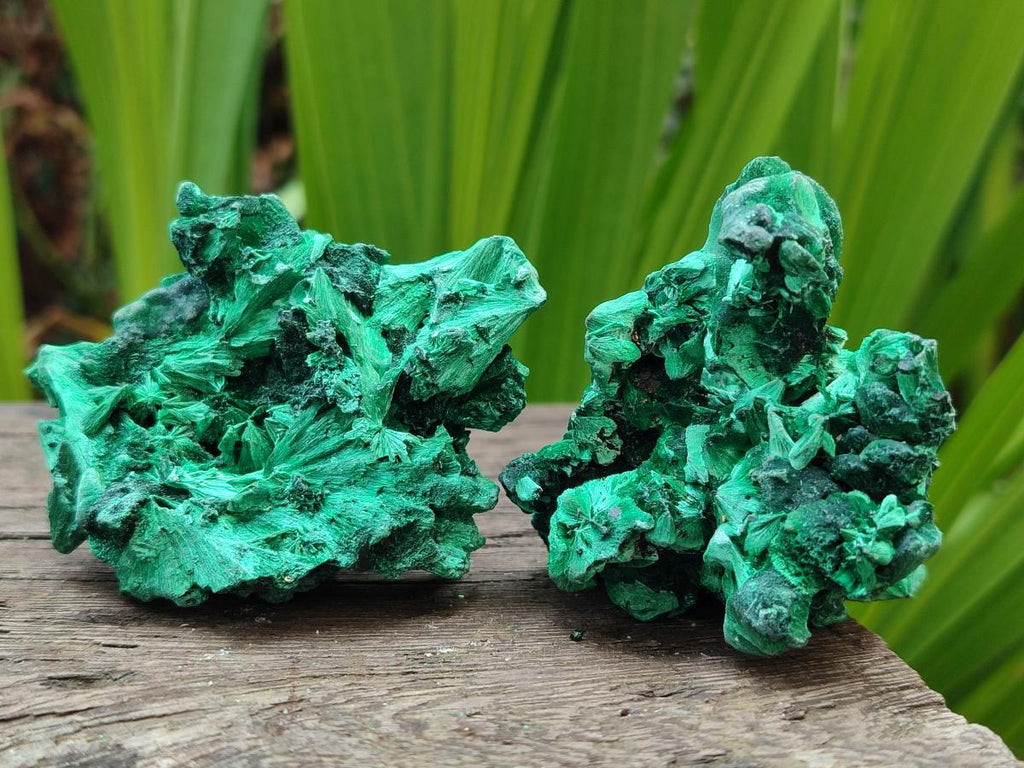 Natural Silky Malachite Specimens x 24 From Kasompe, Congo - Toprock Gemstones and Minerals 