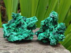 Natural Silky Malachite Specimens x 24 From Kasompe, Congo - Toprock Gemstones and Minerals 