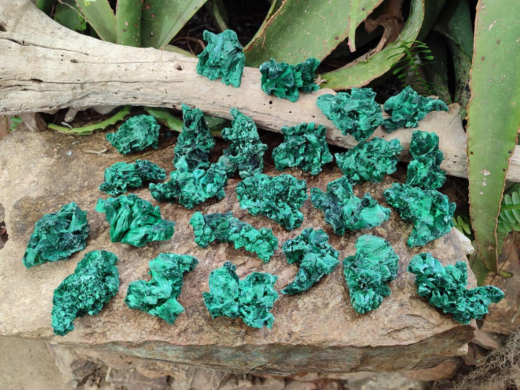 Natural Silky Malachite Specimens x 24 From Kasompe, Congo - Toprock Gemstones and Minerals 