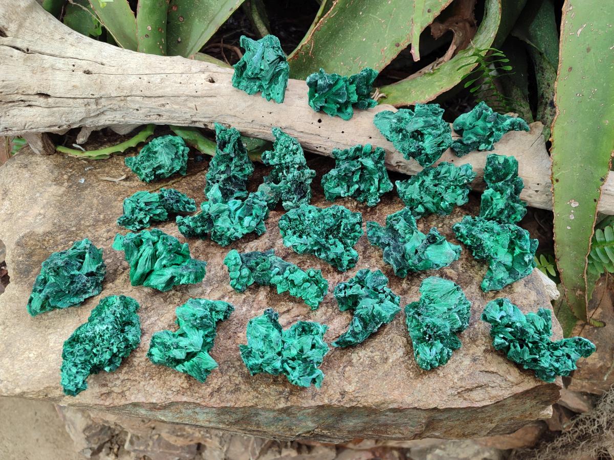 Natural Silky Malachite Specimens x 24 From Kasompe, Congo - Toprock Gemstones and Minerals 