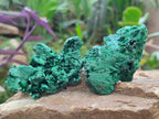 Natural Silky Malachite Specimens x 24 From Kasompe, Congo - Toprock Gemstones and Minerals 