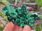 Natural Silky Malachite Specimens x 24 From Kasompe, Congo - Toprock Gemstones and Minerals 