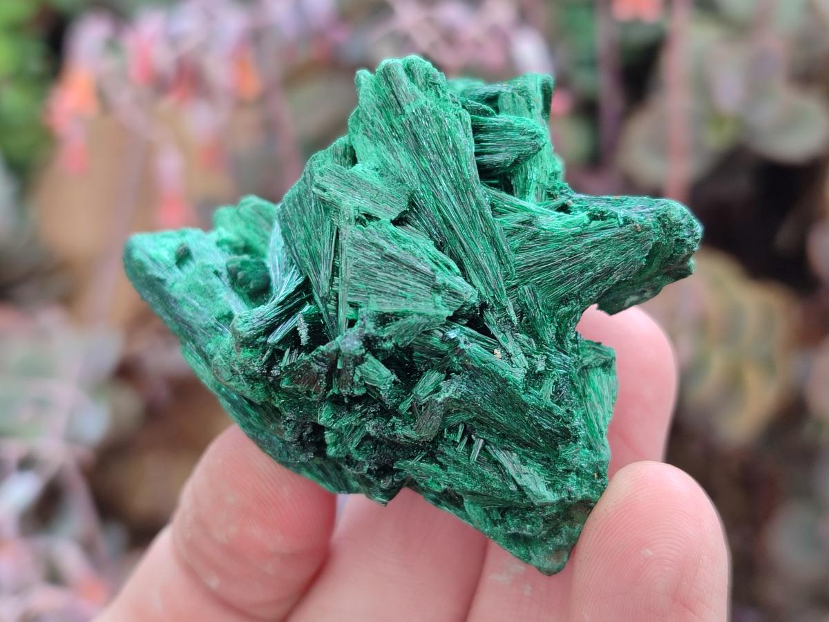 Natural Silky Malachite Specimens x 24 From Kasompe, Congo - Toprock Gemstones and Minerals 
