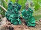 Natural Silky Malachite Specimens x 24 From Kasompe, Congo - Toprock Gemstones and Minerals 