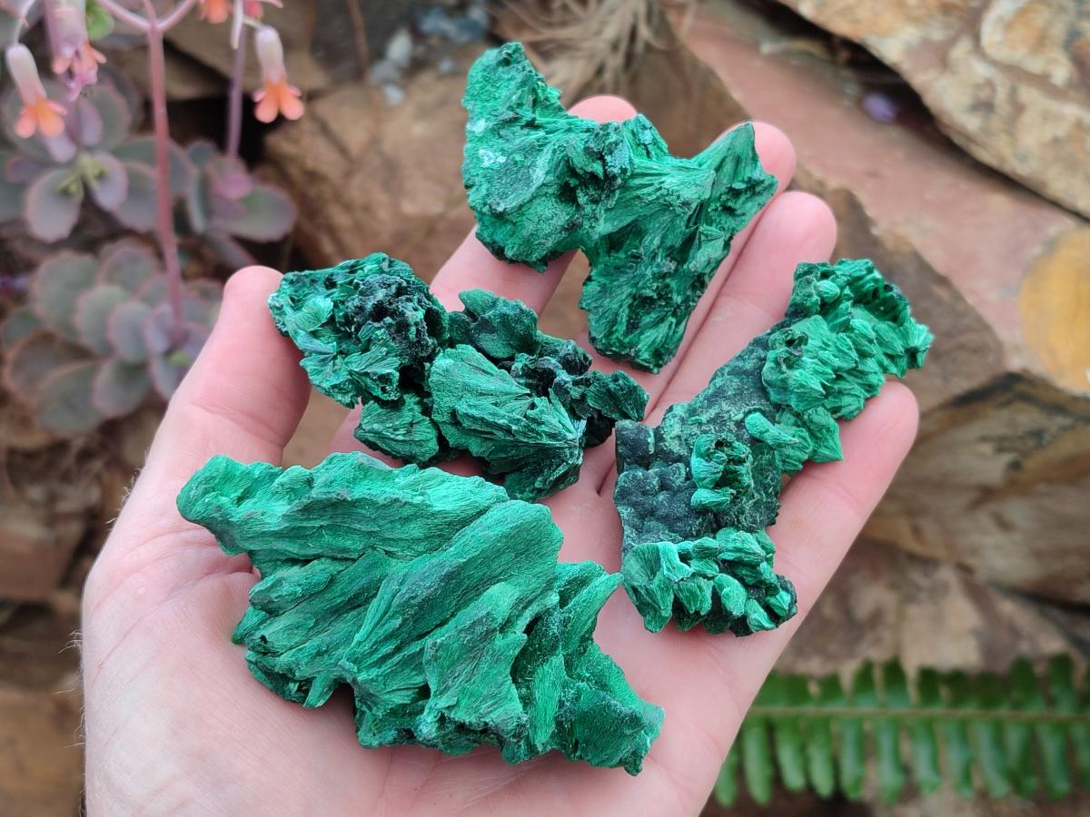 Natural Silky Malachite Specimens x 24 From Kasompe, Congo - Toprock Gemstones and Minerals 