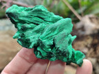 Natural Silky Malachite Specimens x 24 From Kasompe, Congo - Toprock Gemstones and Minerals 