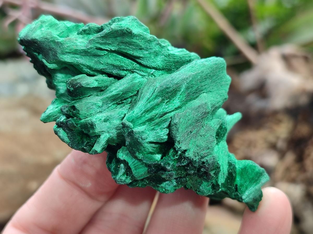 Natural Silky Malachite Specimens x 24 From Kasompe, Congo - Toprock Gemstones and Minerals 