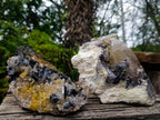Natural Smokey Quartz Clusters with a Variety of Inclusions x 2 From Khorixas, Namibia - Toprock Gemstones and Minerals 