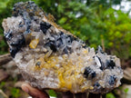 Natural Smokey Quartz Clusters with a Variety of Inclusions x 2 From Khorixas, Namibia - Toprock Gemstones and Minerals 