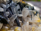 Natural Smokey Quartz Clusters with a Variety of Inclusions x 2 From Khorixas, Namibia - Toprock Gemstones and Minerals 