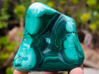 Polished Flower Banded Malachite Free Forms x 3 From Congo - Toprock Gemstones and Minerals 