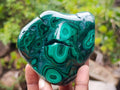 Polished Flower Banded Malachite Free Forms x 3 From Congo - Toprock Gemstones and Minerals 