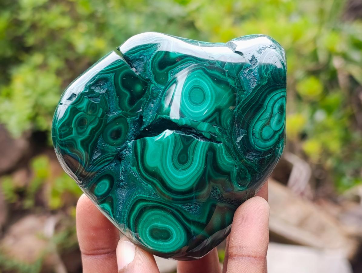 Polished Flower Banded Malachite Free Forms x 3 From Congo - Toprock Gemstones and Minerals 