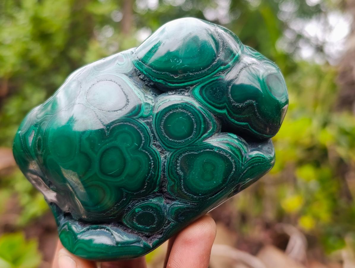 Polished Flower Banded Malachite Free Forms x 3 From Congo - Toprock Gemstones and Minerals 