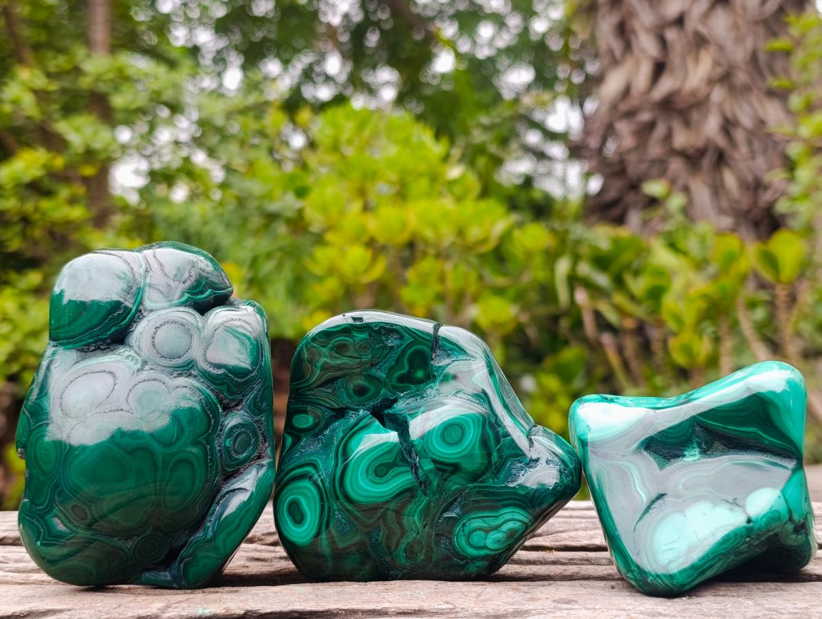 Polished Flower Banded Malachite Free Forms x 3 From Congo - Toprock Gemstones and Minerals 