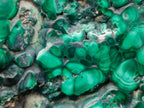 Polished Flower Banded Malachite Free Forms x 3 From Congo - Toprock Gemstones and Minerals 