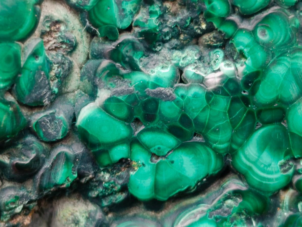 Polished Flower Banded Malachite Free Forms x 3 From Congo - Toprock Gemstones and Minerals 