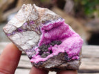 Natural Spherocobaltite Specimens with Heterogenite x 12 From Mashamba West Mine, Congo - Toprock Gemstones and Minerals 