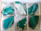 Natural Botryoidal Malachite Specimens x 6 From Kolwezi, Congo - Toprock Gemstones and Minerals 