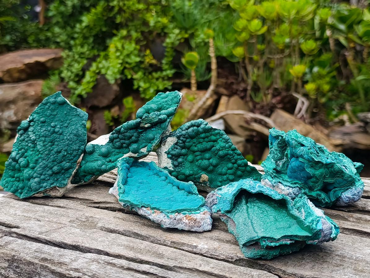 Natural Botryoidal Malachite Specimens x 6 From Kolwezi, Congo - Toprock Gemstones and Minerals 