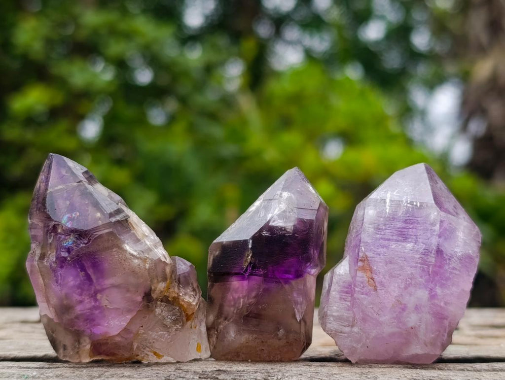 Natural Smokey Window Amethyst Skeletal Crystals x 12 From Chiredzi, Zimbabwe - Toprock Gemstones and Minerals 