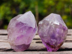 Natural Smokey Window Amethyst Skeletal Crystals x 12 From Chiredzi, Zimbabwe - Toprock Gemstones and Minerals 