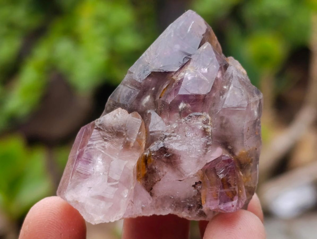 Natural Smokey Window Amethyst Skeletal Crystals x 12 From Chiredzi, Zimbabwe - Toprock Gemstones and Minerals 