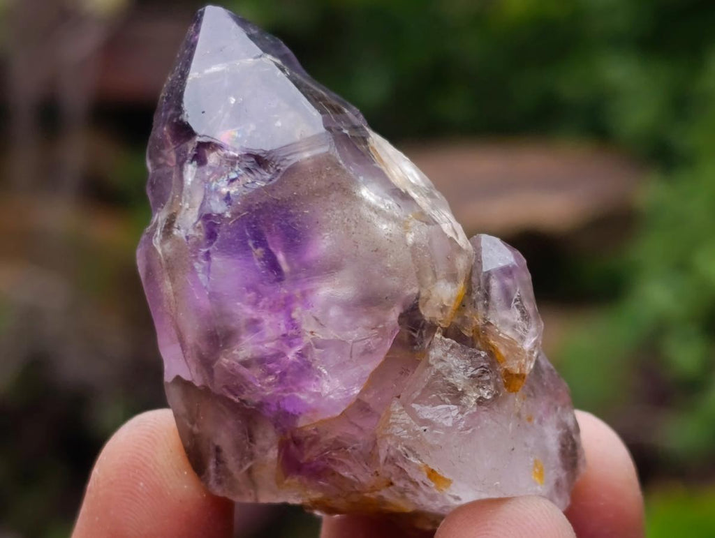 Natural Smokey Window Amethyst Skeletal Crystals x 12 From Chiredzi, Zimbabwe - Toprock Gemstones and Minerals 