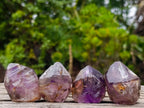 Natural Smokey Window Amethyst Skeletal Crystals x 12 From Chiredzi, Zimbabwe - Toprock Gemstones and Minerals 
