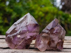 Natural Smokey Window Amethyst Skeletal Crystals x 12 From Chiredzi, Zimbabwe - Toprock Gemstones and Minerals 