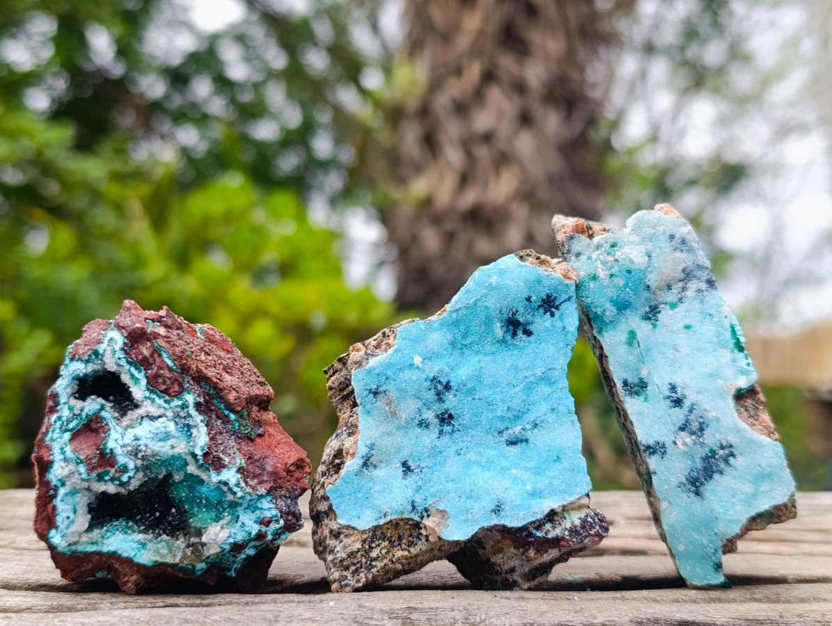 Natural Rare Drusy Coated Chrysocolla Specimens with Malachite on Dolomite Matrix x 12 From Lupoto Mine, Congo - Toprock Gemstones and Minerals 