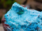 Natural Rare Drusy Coated Chrysocolla Specimens with Malachite on Dolomite Matrix x 12 From Lupoto Mine, Congo - Toprock Gemstones and Minerals 