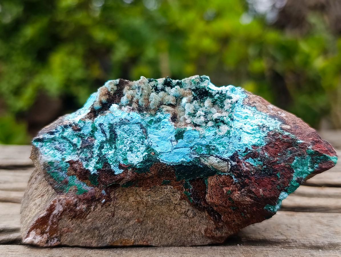 Natural Rare Drusy Coated Chrysocolla Specimens with Malachite on Dolomite Matrix x 12 From Lupoto Mine, Congo - Toprock Gemstones and Minerals 