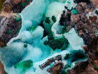Natural Rare Drusy Coated Chrysocolla Specimens with Malachite on Dolomite Matrix x 12 From Lupoto Mine, Congo - Toprock Gemstones and Minerals 