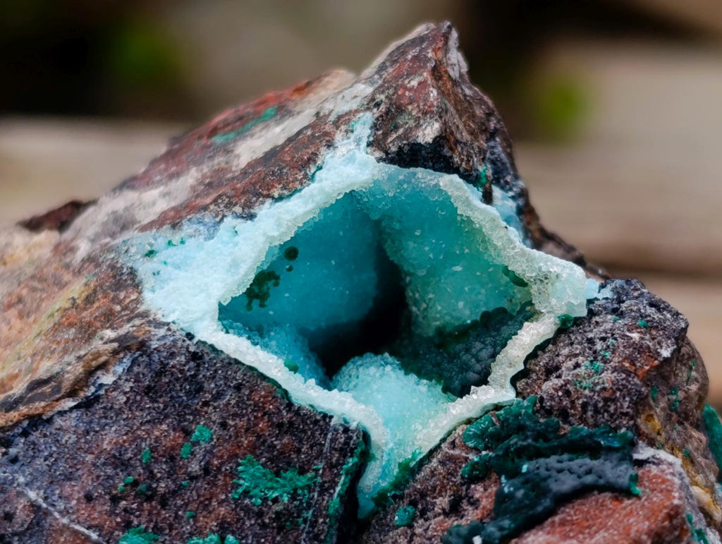 Natural Rare Drusy Coated Chrysocolla Specimens with Malachite on Dolomite Matrix x 12 From Lupoto Mine, Congo - Toprock Gemstones and Minerals 