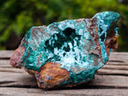 Natural Rare Drusy Coated Chrysocolla Specimens with Malachite on Dolomite Matrix x 12 From Lupoto Mine, Congo - Toprock Gemstones and Minerals 