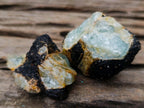 Natural Rare Aquamarine in Black Tourmaline Specimens x 70 From Karibib, Namibia - Toprock Gemstones and Minerals 
