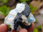Natural Rare Aquamarine in Black Tourmaline Specimens x 70 From Karibib, Namibia - Toprock Gemstones and Minerals 