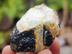 Natural Rare Aquamarine in Black Tourmaline Specimens x 70 From Karibib, Namibia - Toprock Gemstones and Minerals 