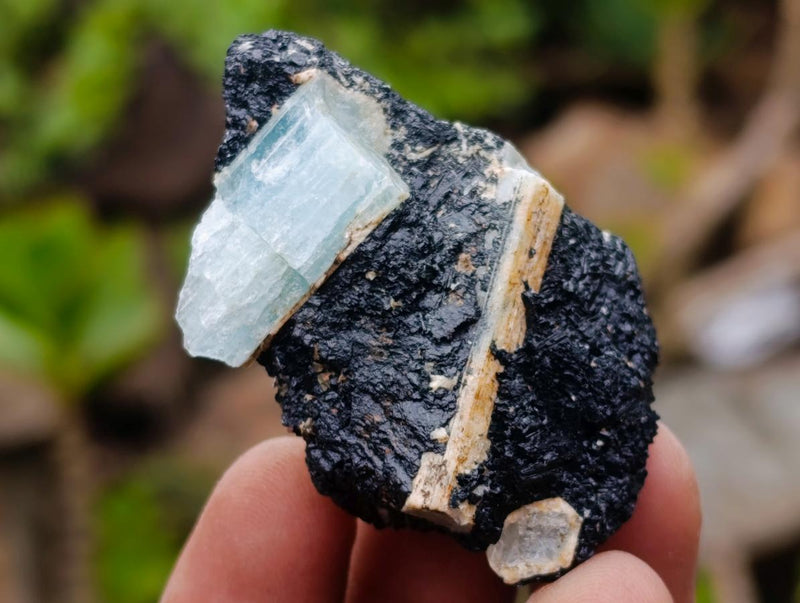 Natural Rare Aquamarine in Black Tourmaline Specimens x 70 From Karibib, Namibia - Toprock Gemstones and Minerals 